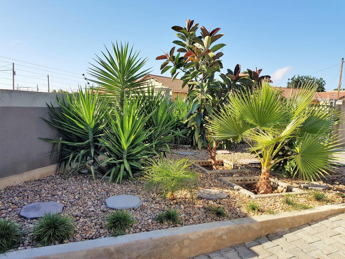 Grey Oak Holiday House Bulawayo Εξωτερικό φωτογραφία